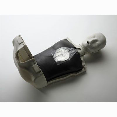 CPR100 簡易型半身心肺復蘇模擬人 CPR100 簡易型半身心肺復蘇模擬人