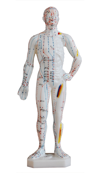 人體針灸模型(男性) 高26cm 人體針灸模型(男性) 高26cm